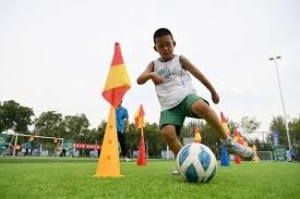 首页信息架构示意